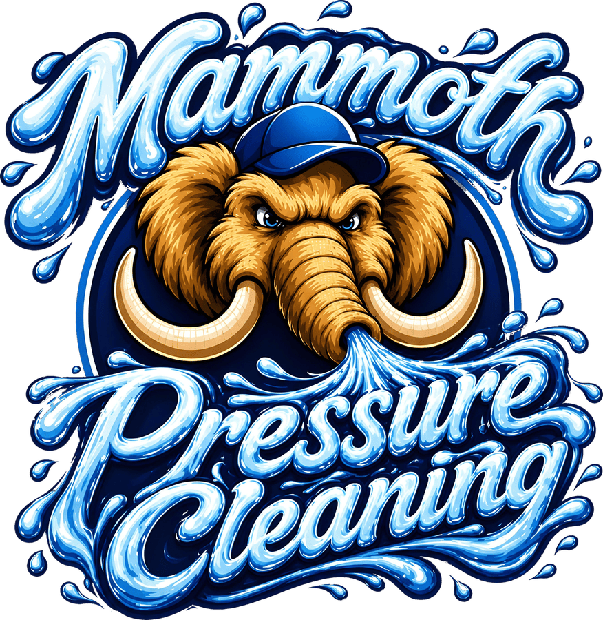 Mammoth Pressure Cleaning